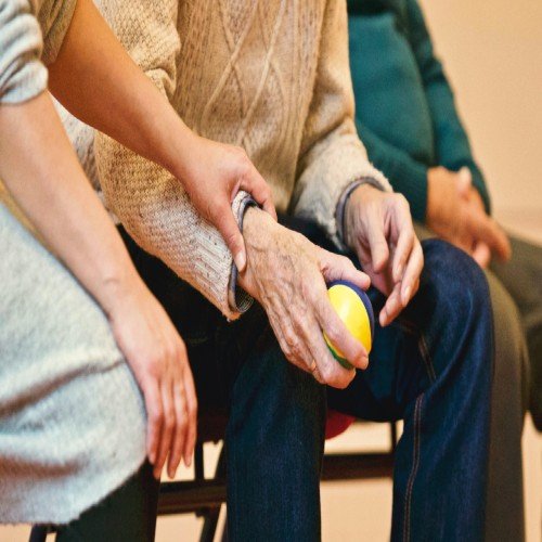 senior-care-hasthapradha